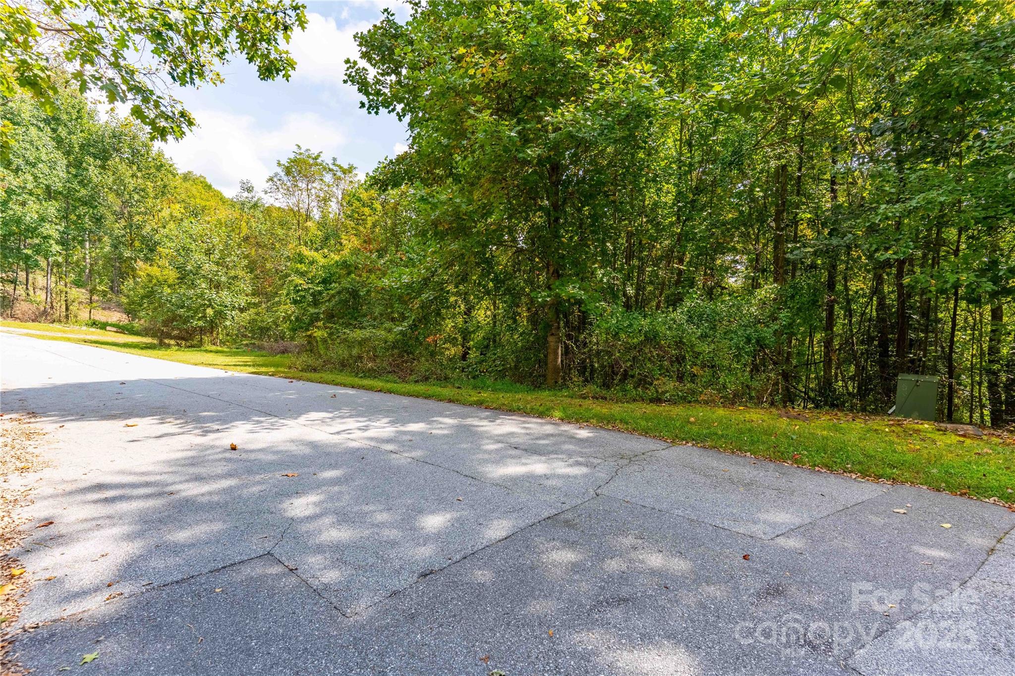 1043 Somersby Parkway Hendersonville NC 28739