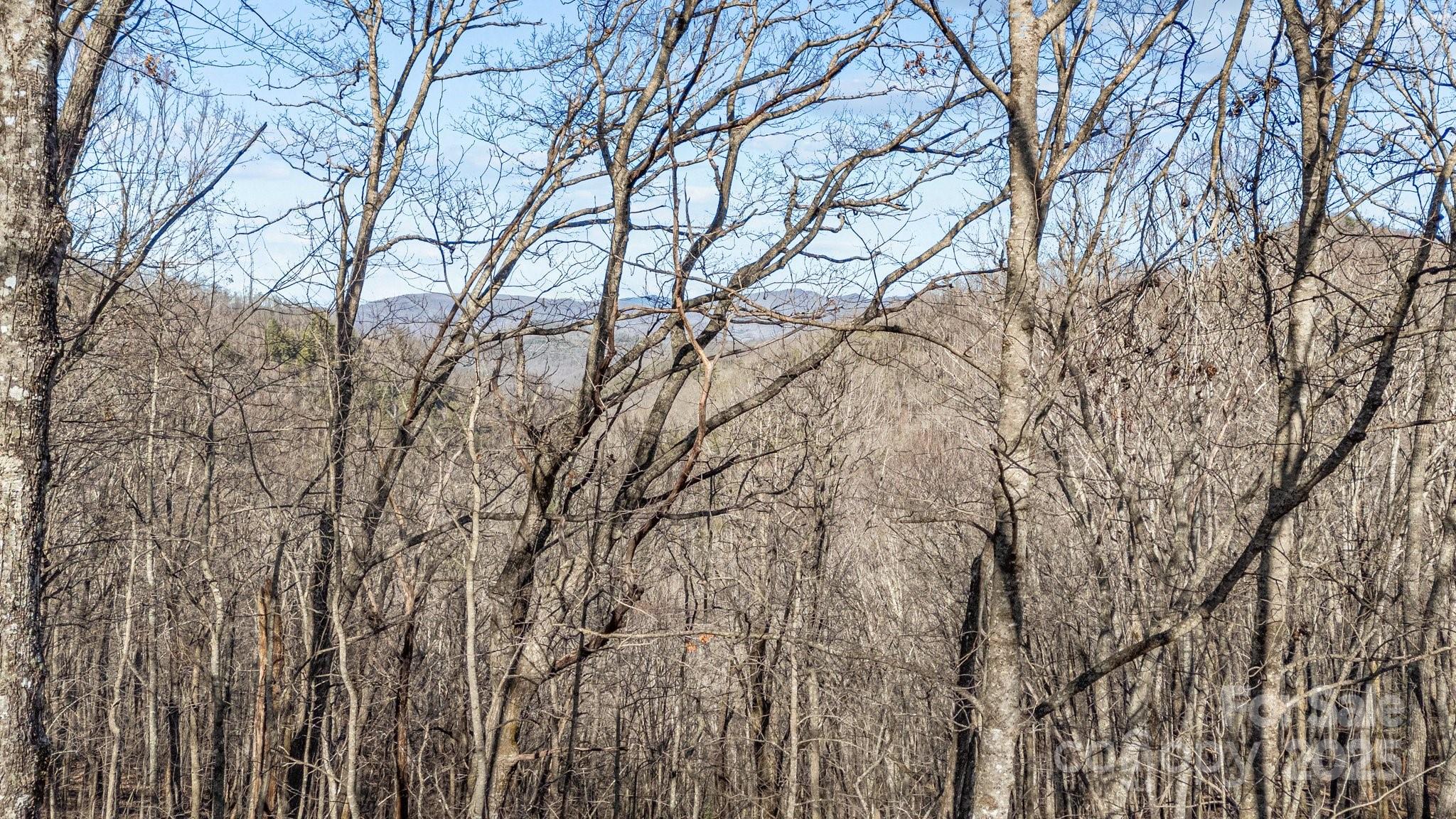 Lot F115 Leafy Knoll Circle Glenville NC 28736