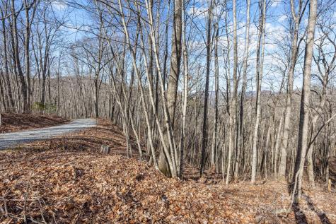 Lot F115 Leafy Knoll Circle Glenville NC 28736