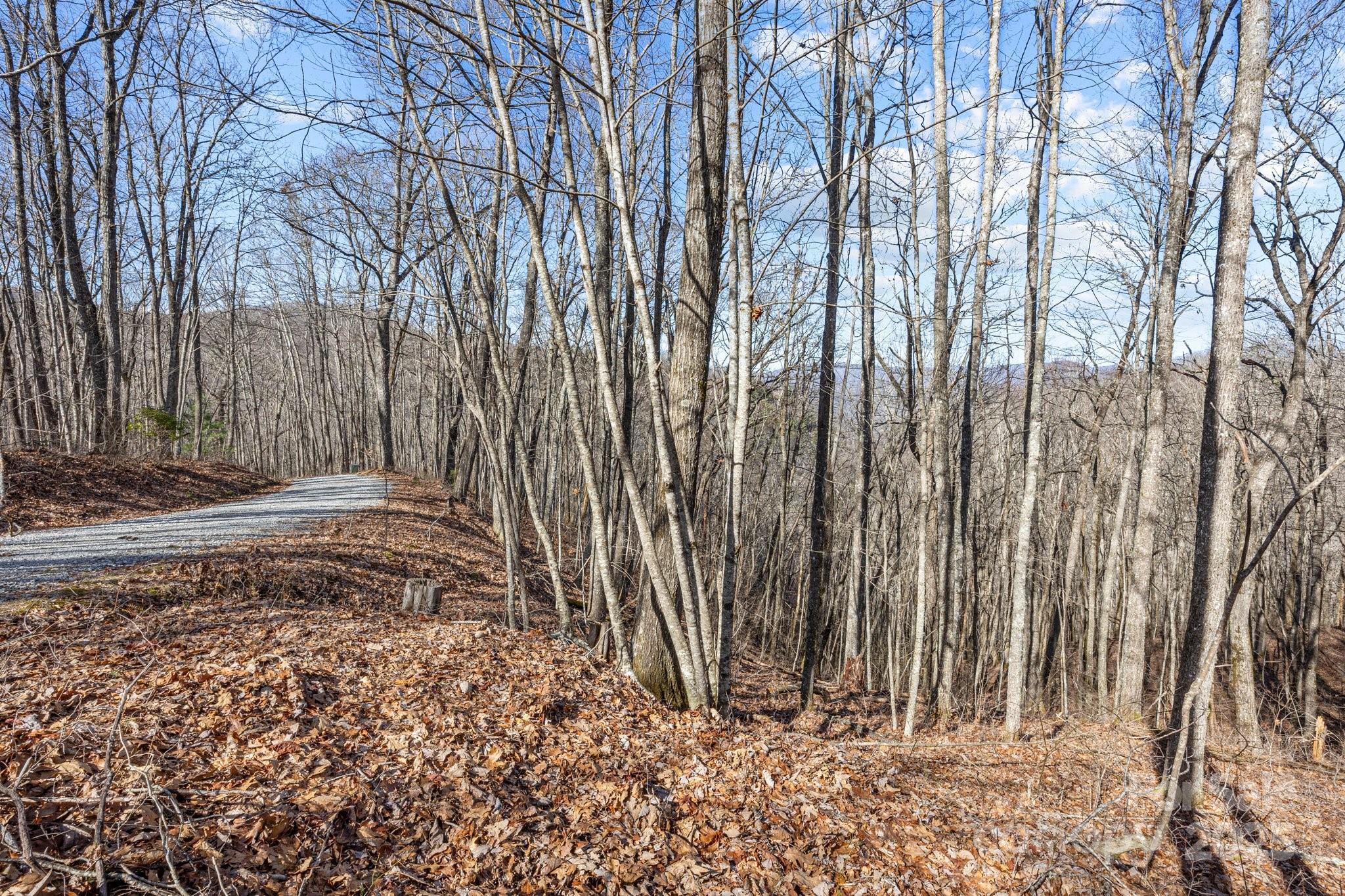 Lot F115 Leafy Knoll Circle Glenville NC 28736