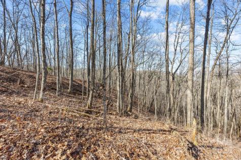 Lot F115 Leafy Knoll Circle Glenville NC 28736