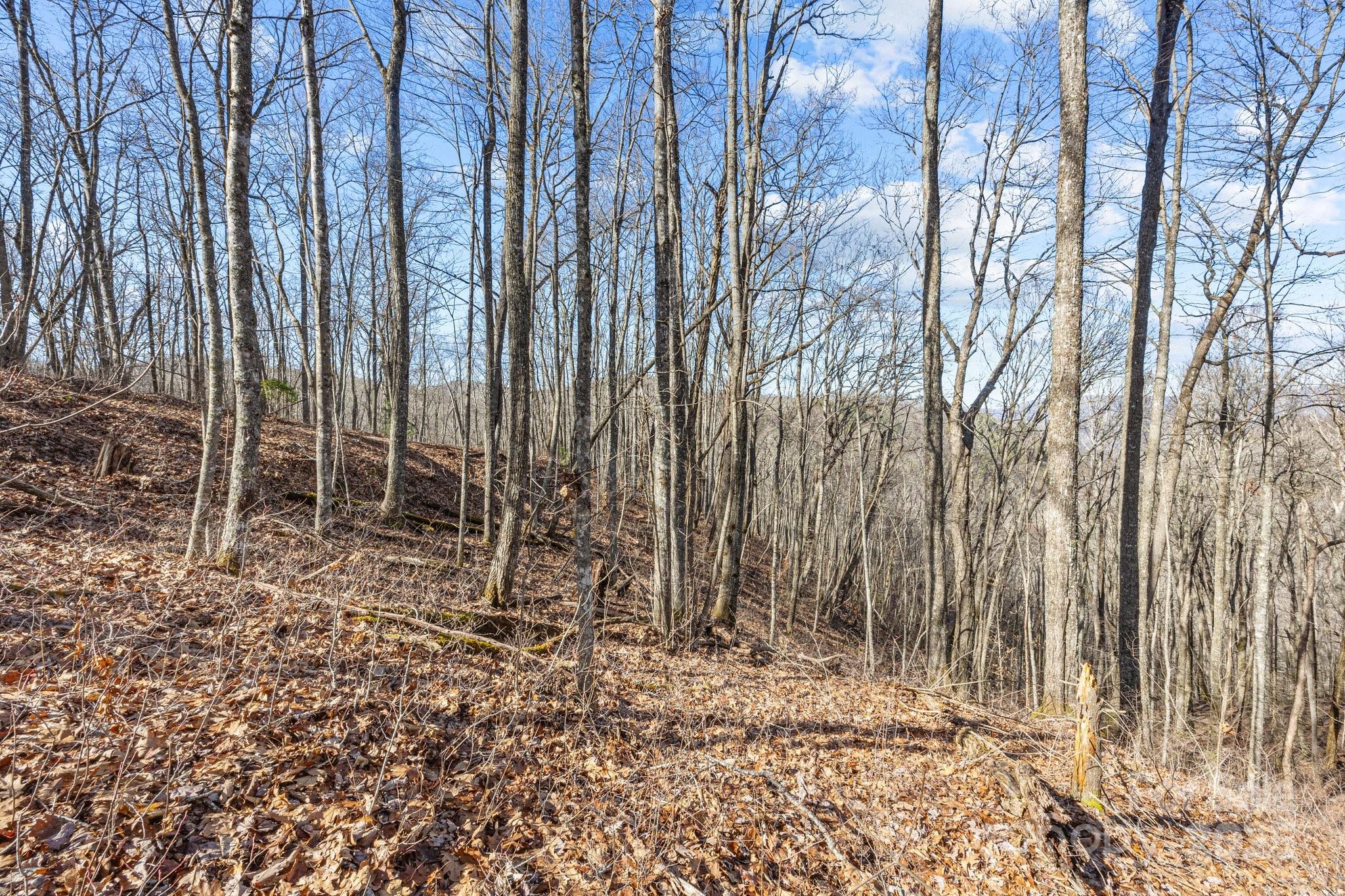 Lot F115 Leafy Knoll Circle Glenville NC 28736