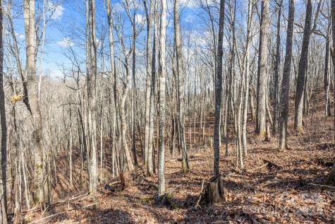 Lot F115 Leafy Knoll Circle Glenville NC 28736
