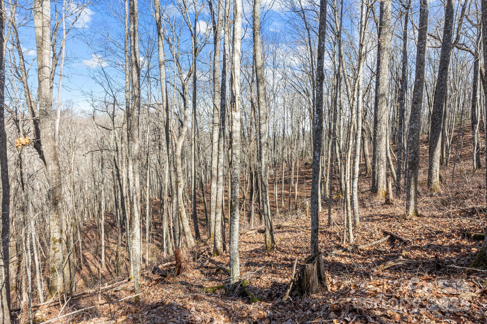 Lot F115 Leafy Knoll Circle Glenville NC 28736