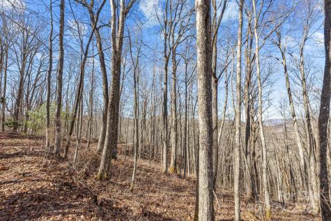 Lot F115 Leafy Knoll Circle Glenville NC 28736