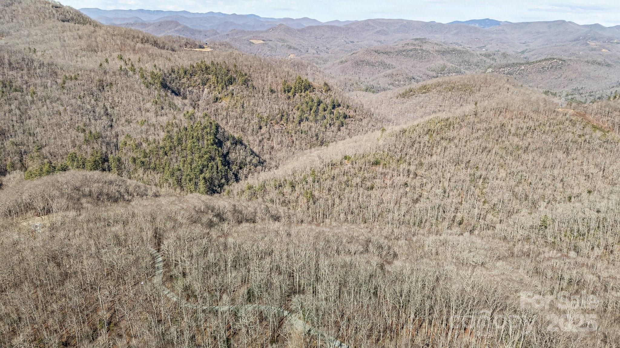 Lot F115 Leafy Knoll Circle Glenville NC 28736