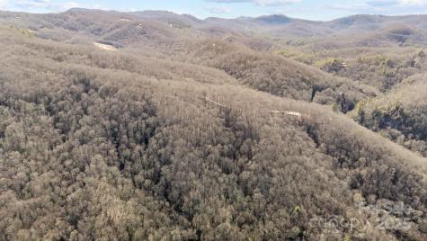 Lot F115 Leafy Knoll Circle Glenville NC 28736