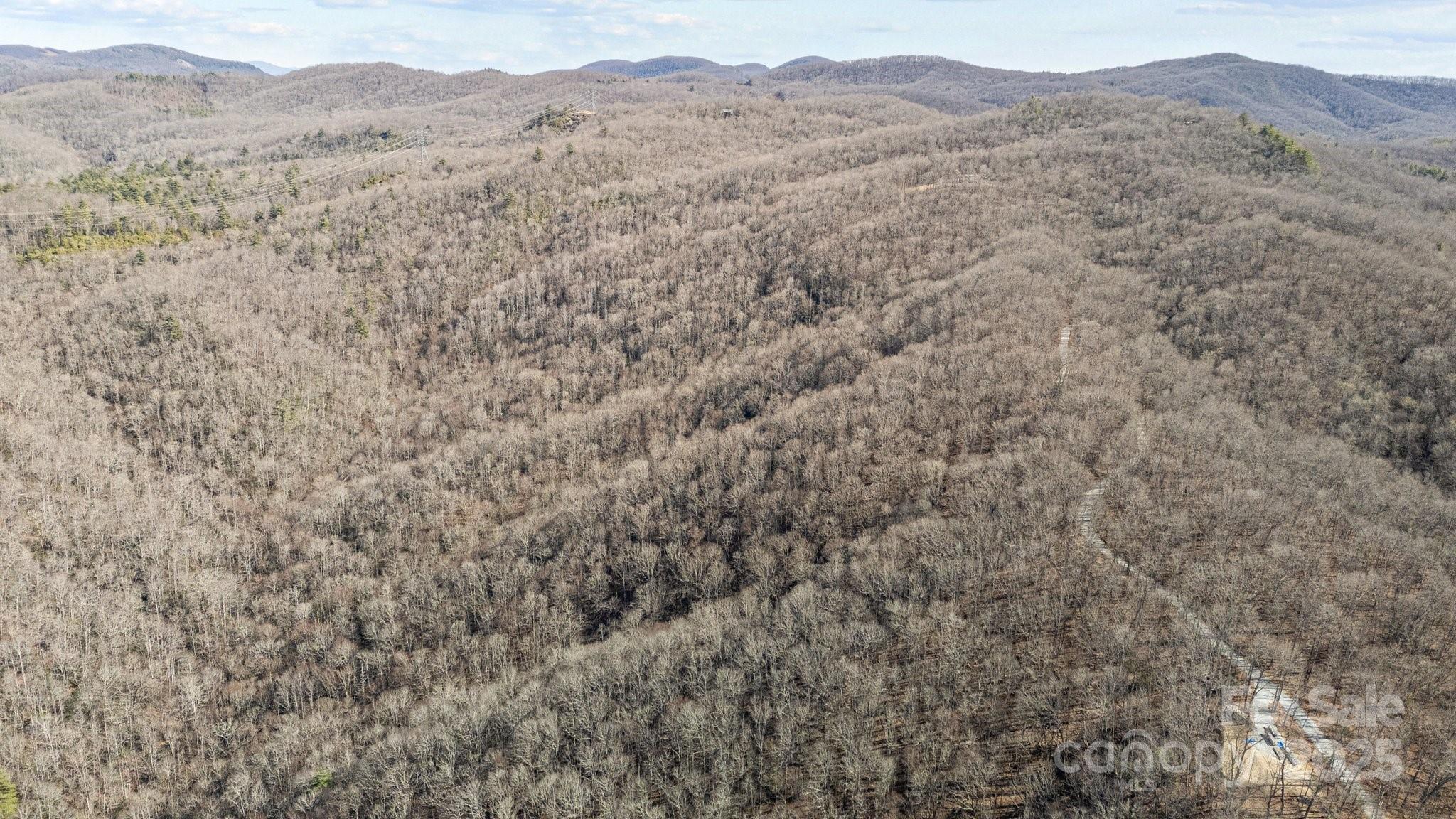 Lot F115 Leafy Knoll Circle Glenville NC 28736