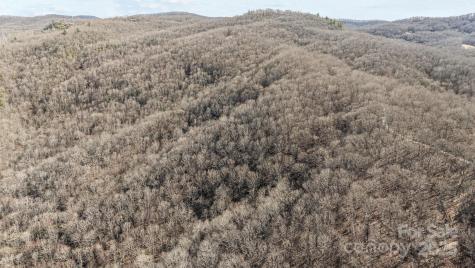 Lot F115 Leafy Knoll Circle Glenville NC 28736