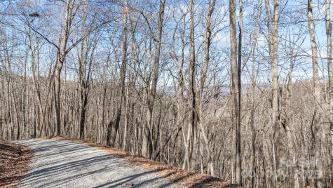 Lot F115 Leafy Knoll Circle Glenville NC 28736