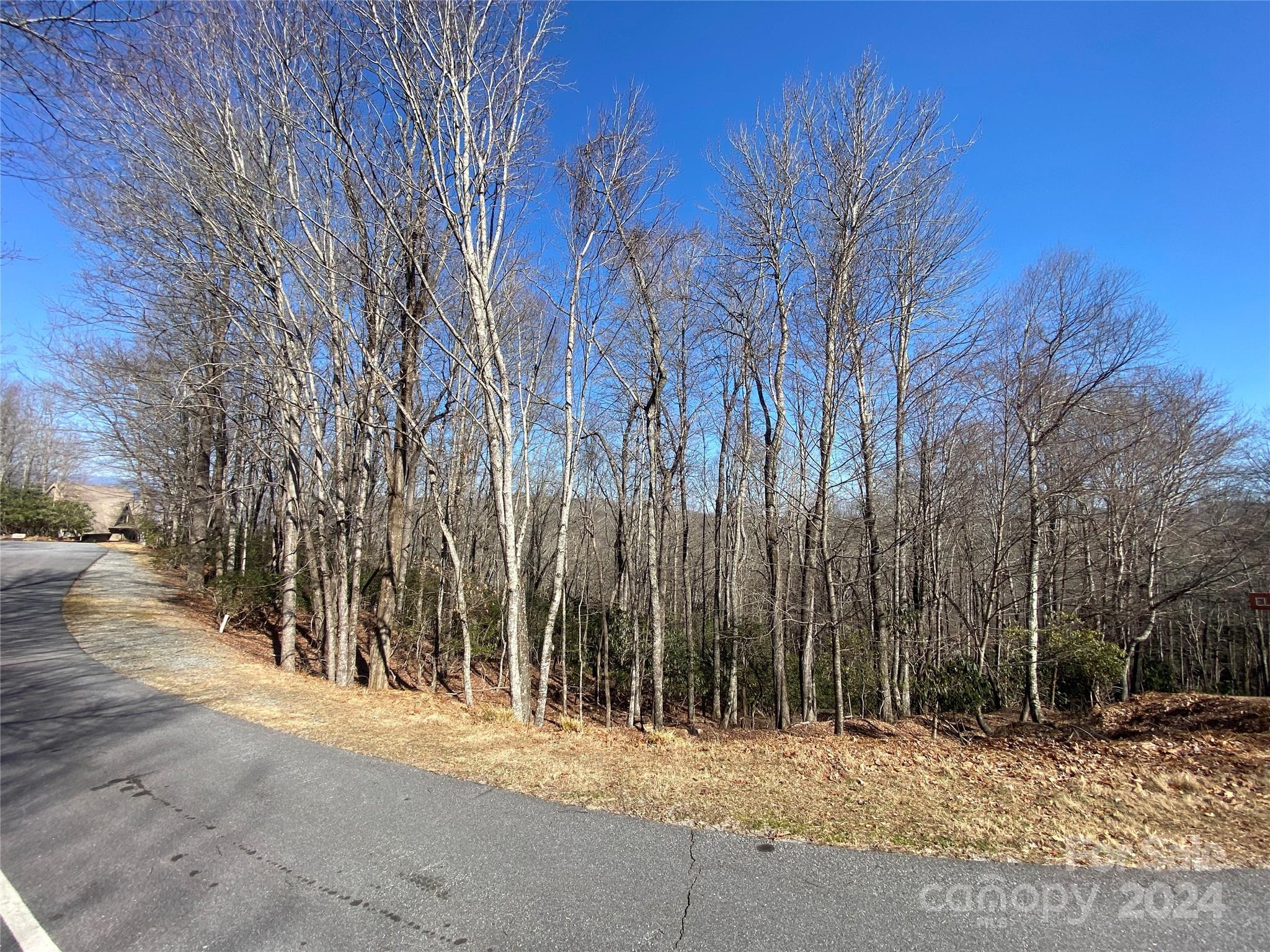 Tbd Elaqua Court Brevard NC 28712