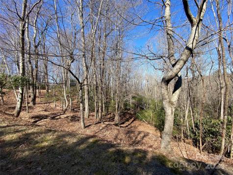 Tbd Elaqua Court Brevard NC 28712