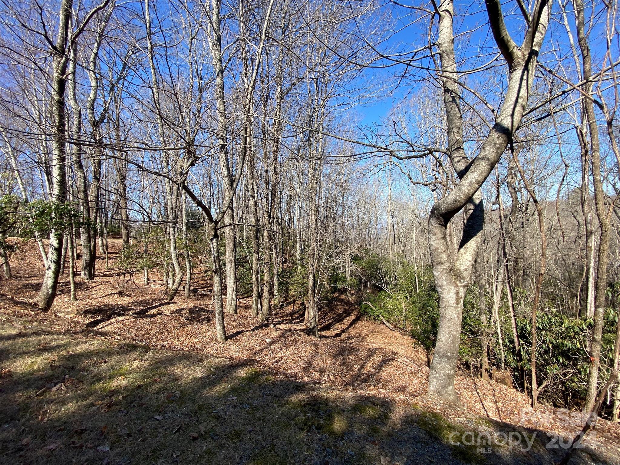 Tbd Elaqua Court Brevard NC 28712