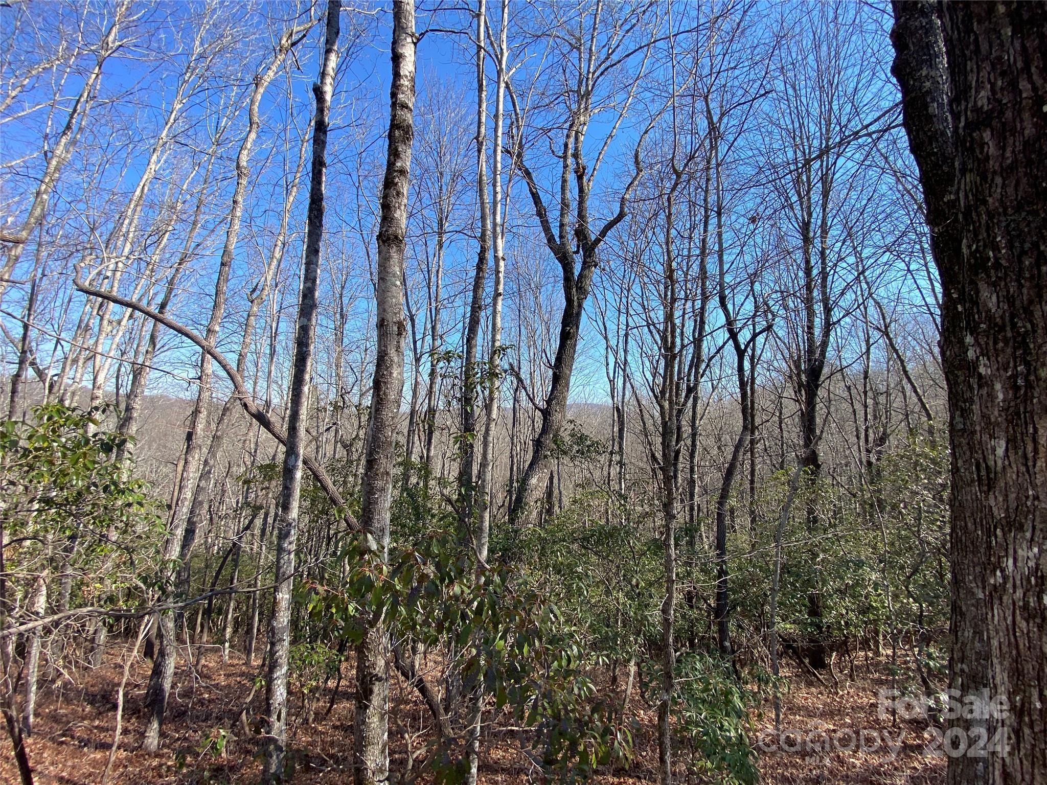 Tbd Elaqua Court Brevard NC 28712