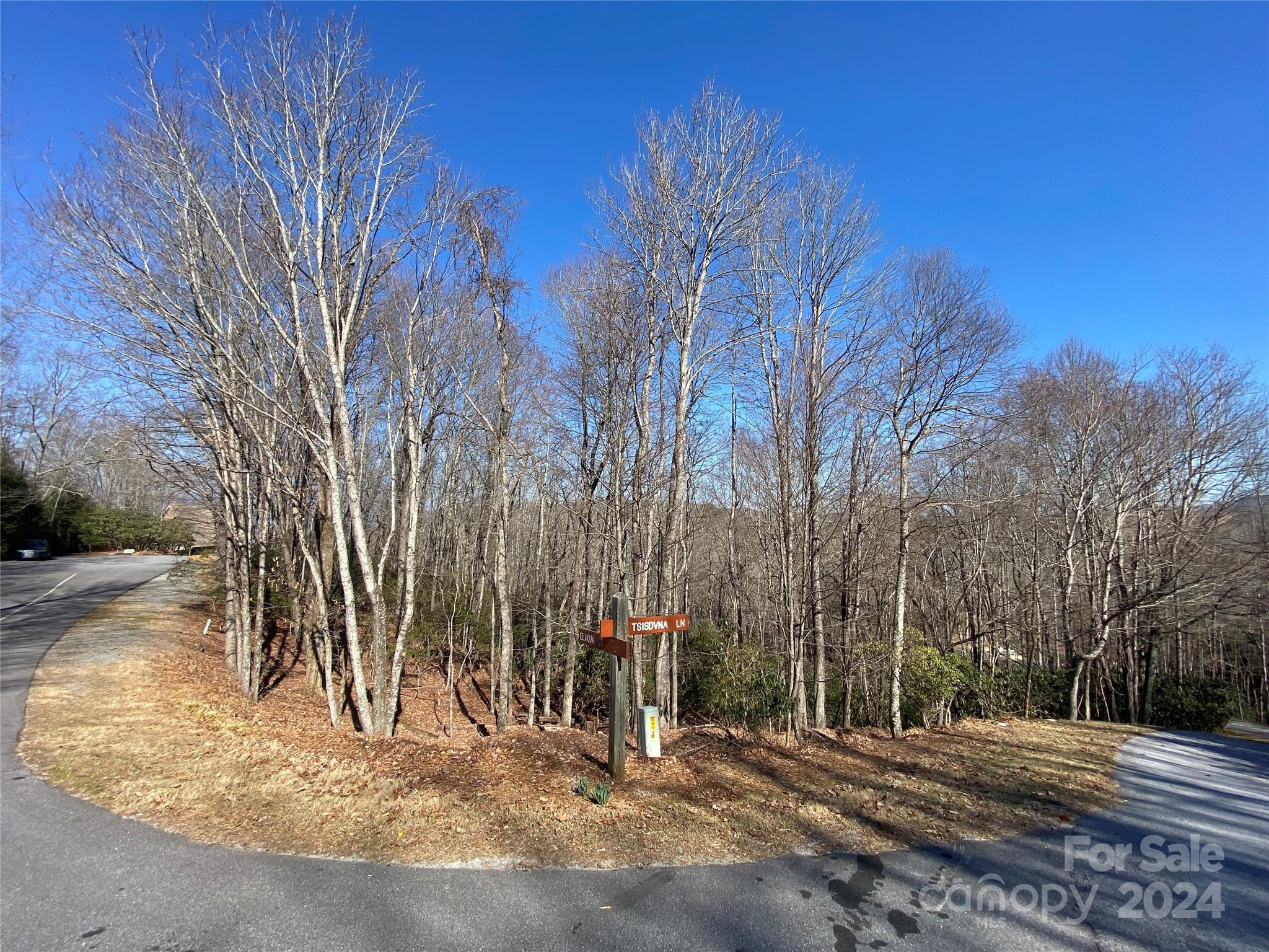 Tbd Elaqua Court Brevard NC 28712