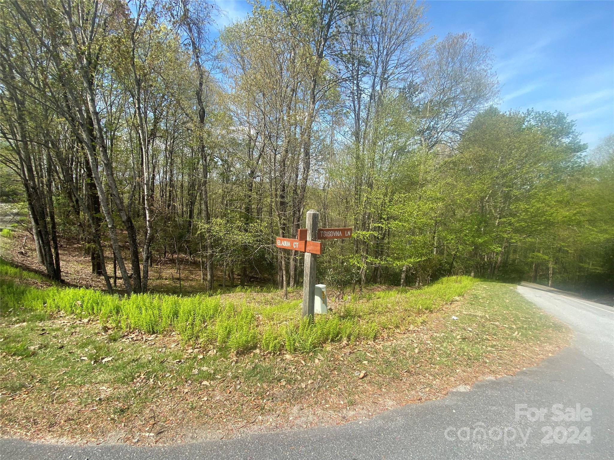 Tbd Elaqua Court Brevard NC 28712
