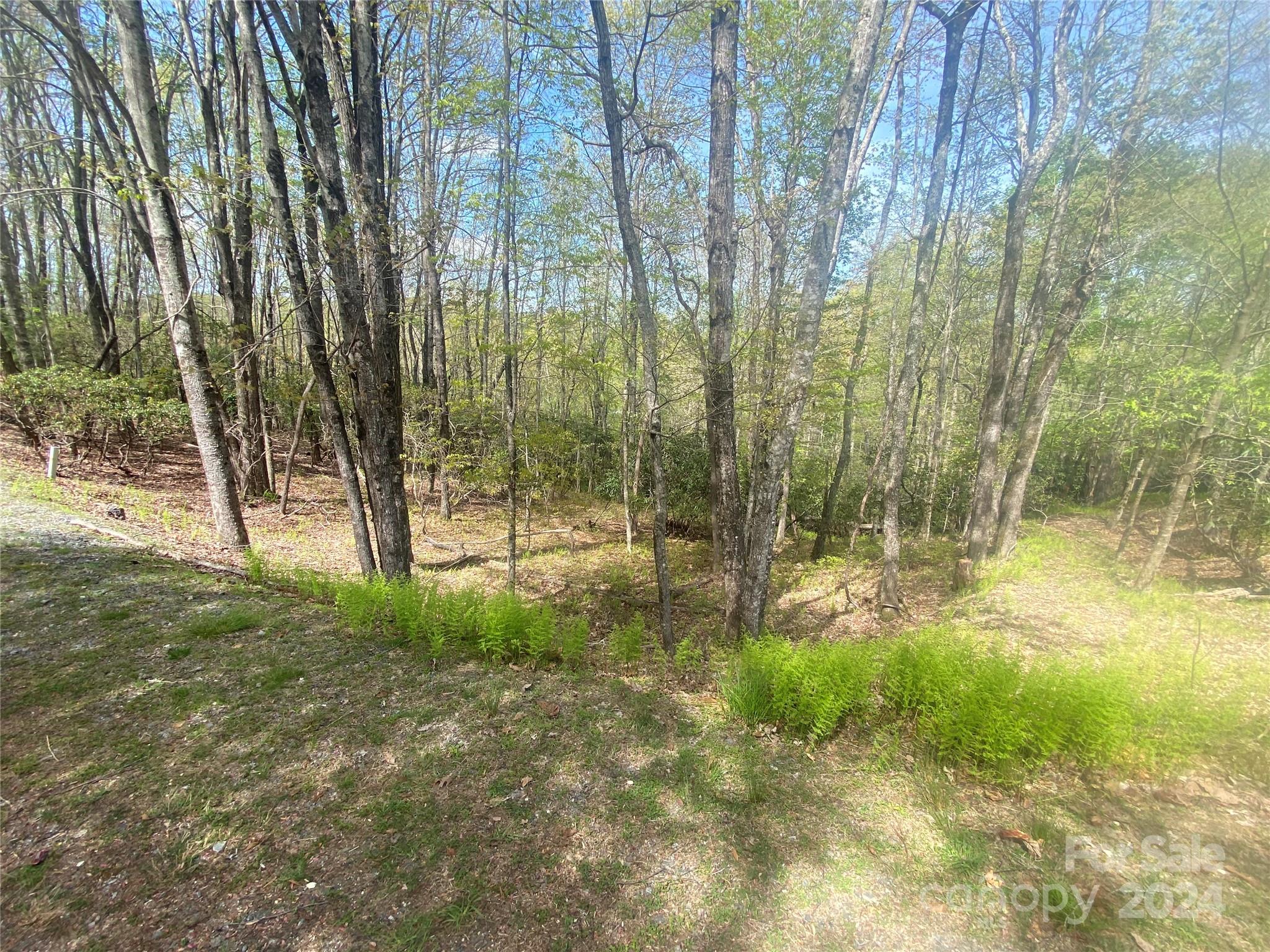 Tbd Elaqua Court Brevard NC 28712