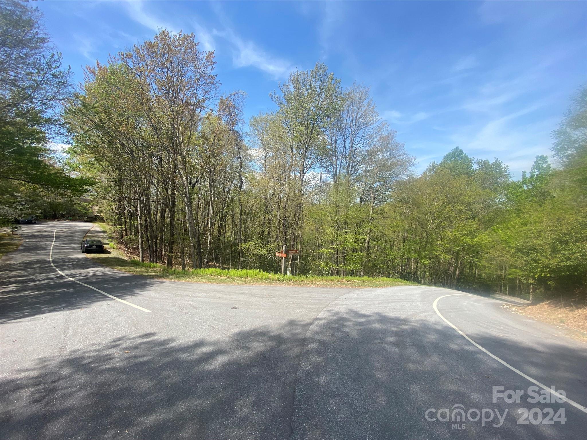Tbd Elaqua Court Brevard NC 28712