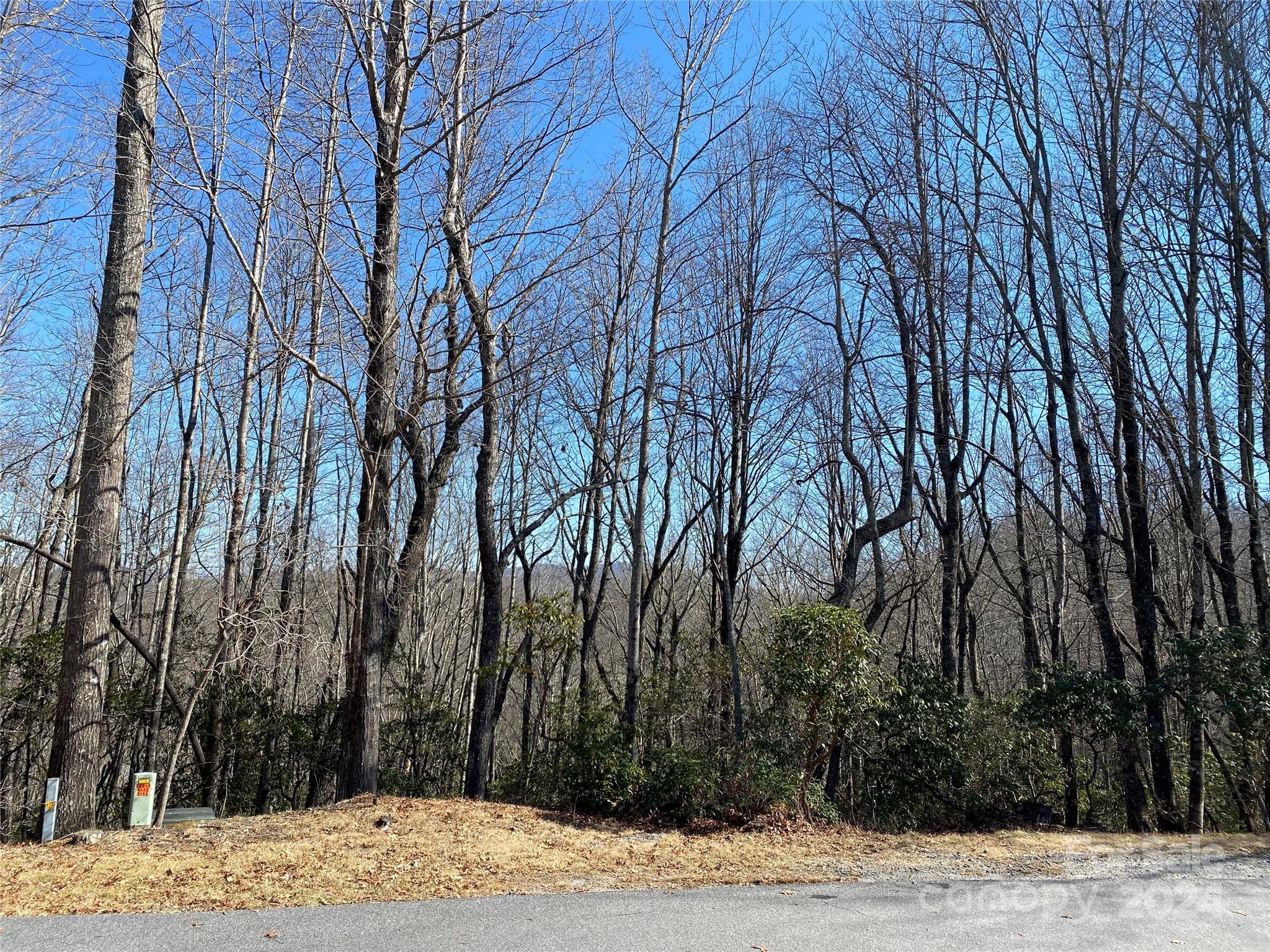 Tbd Elaqua Court Brevard NC 28712