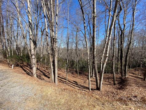 Tbd Elaqua Court Brevard NC 28712