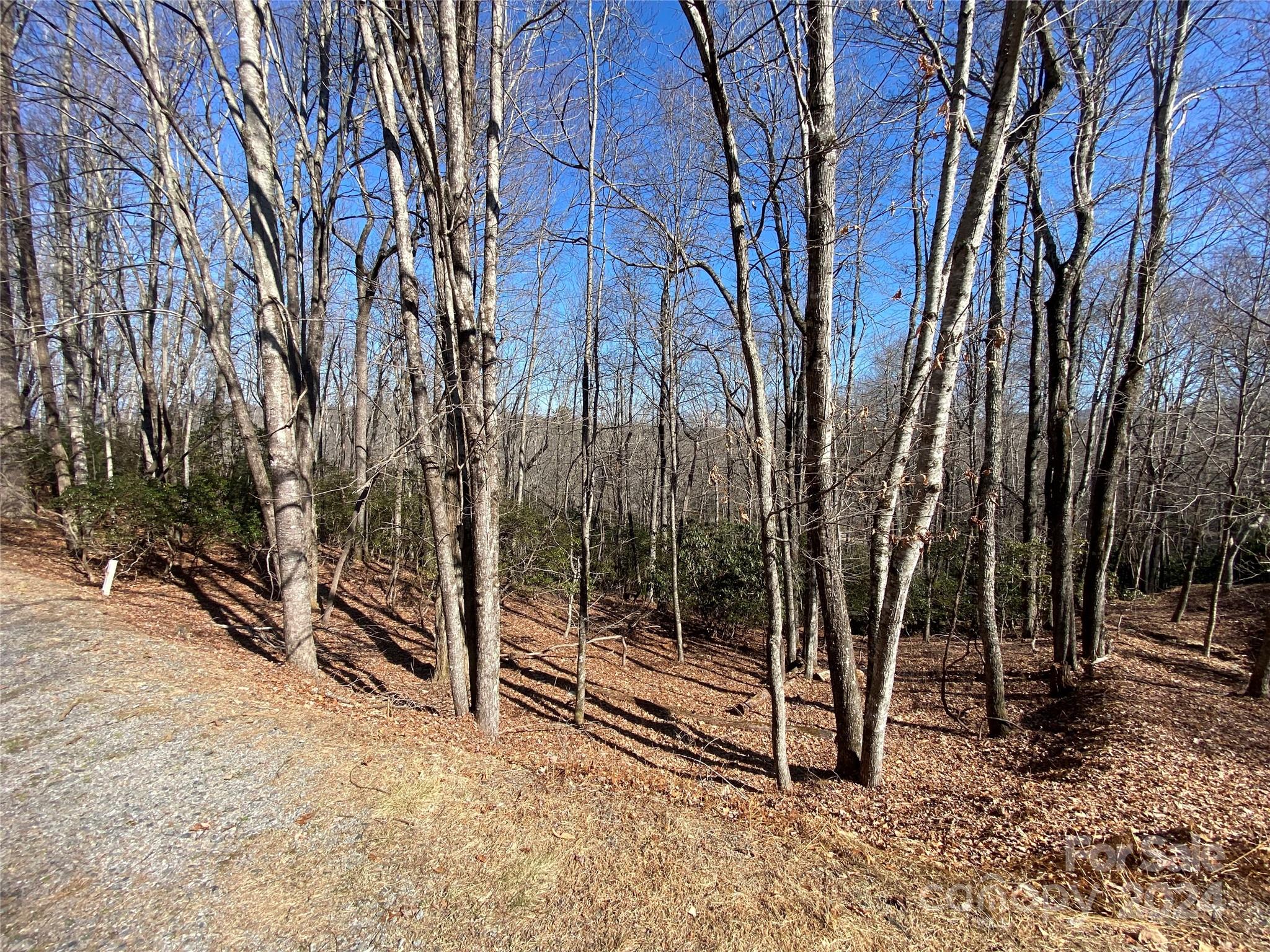 Tbd Elaqua Court Brevard NC 28712