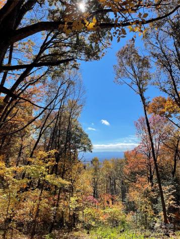 00000 New Sprout Lane Hendersonville NC 28792