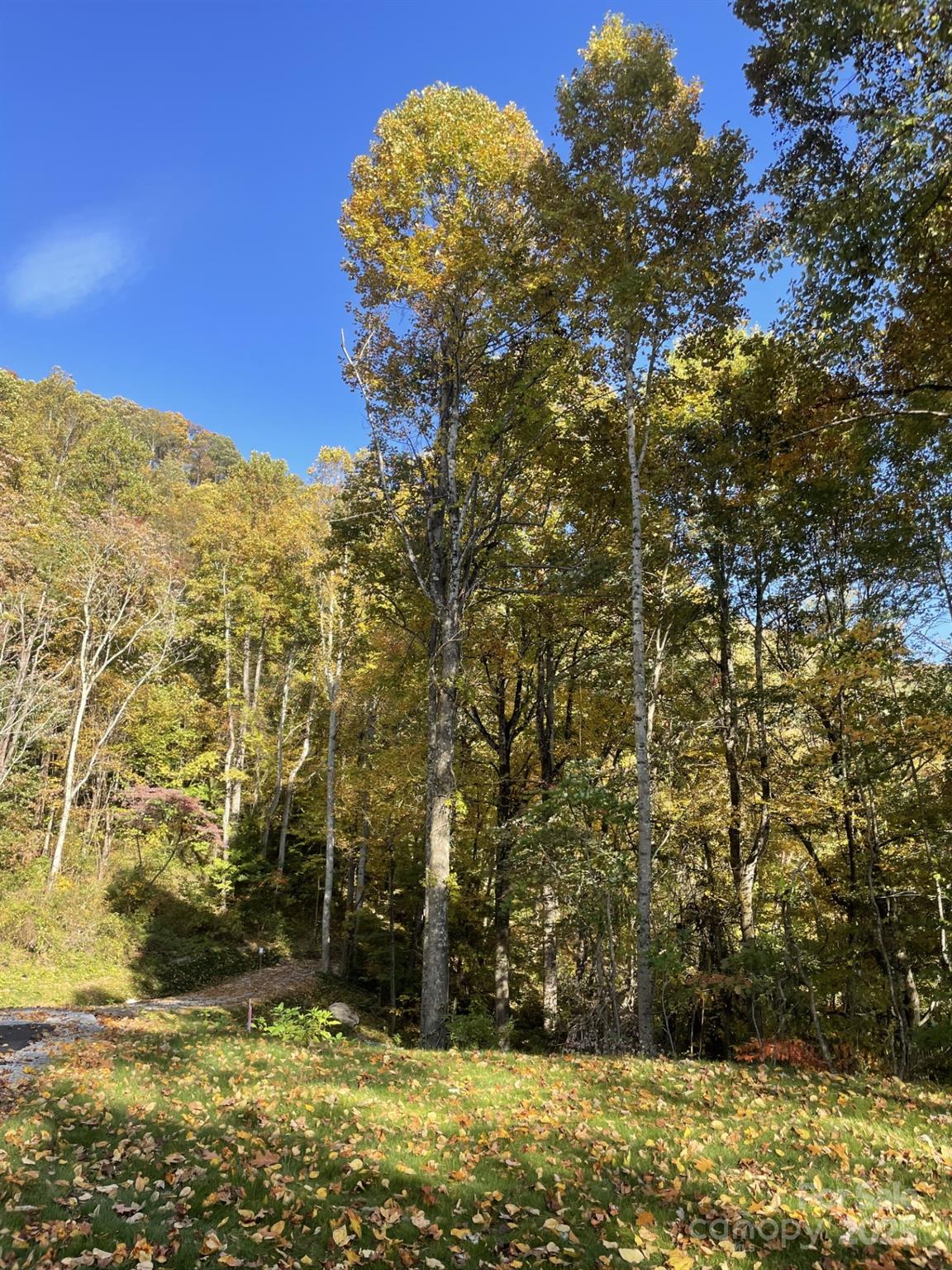 00000 New Sprout Lane Hendersonville NC 28792