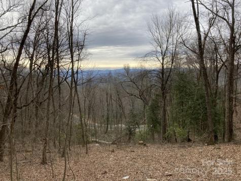 00000 New Sprout Lane Hendersonville NC 28792