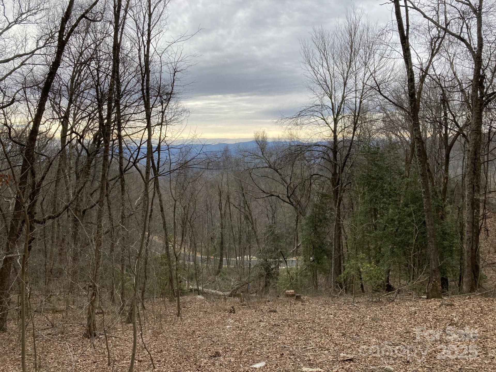 00000 New Sprout Lane Hendersonville NC 28792