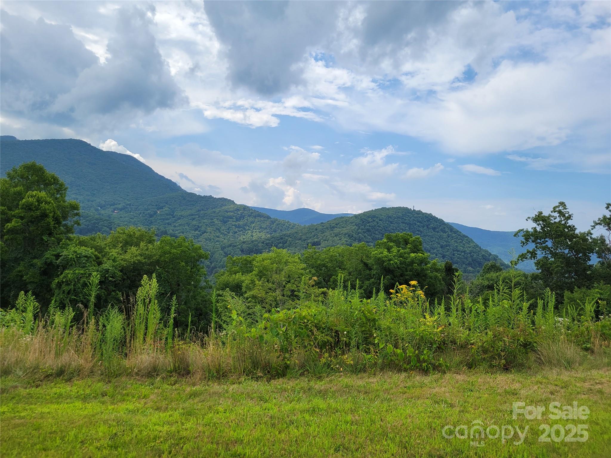35 Rons Ridge Waynesville NC 28785
