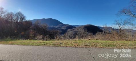 35 Rons Ridge Waynesville NC 28785