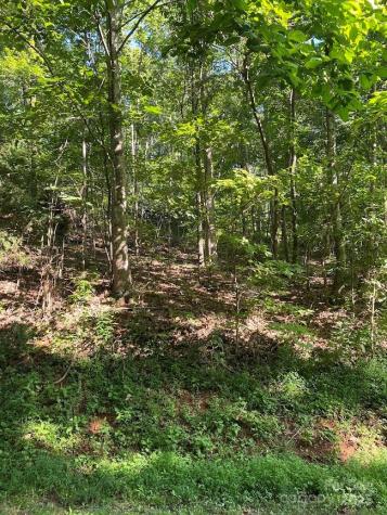 173 Stacked Rock Road Landrum SC 29356