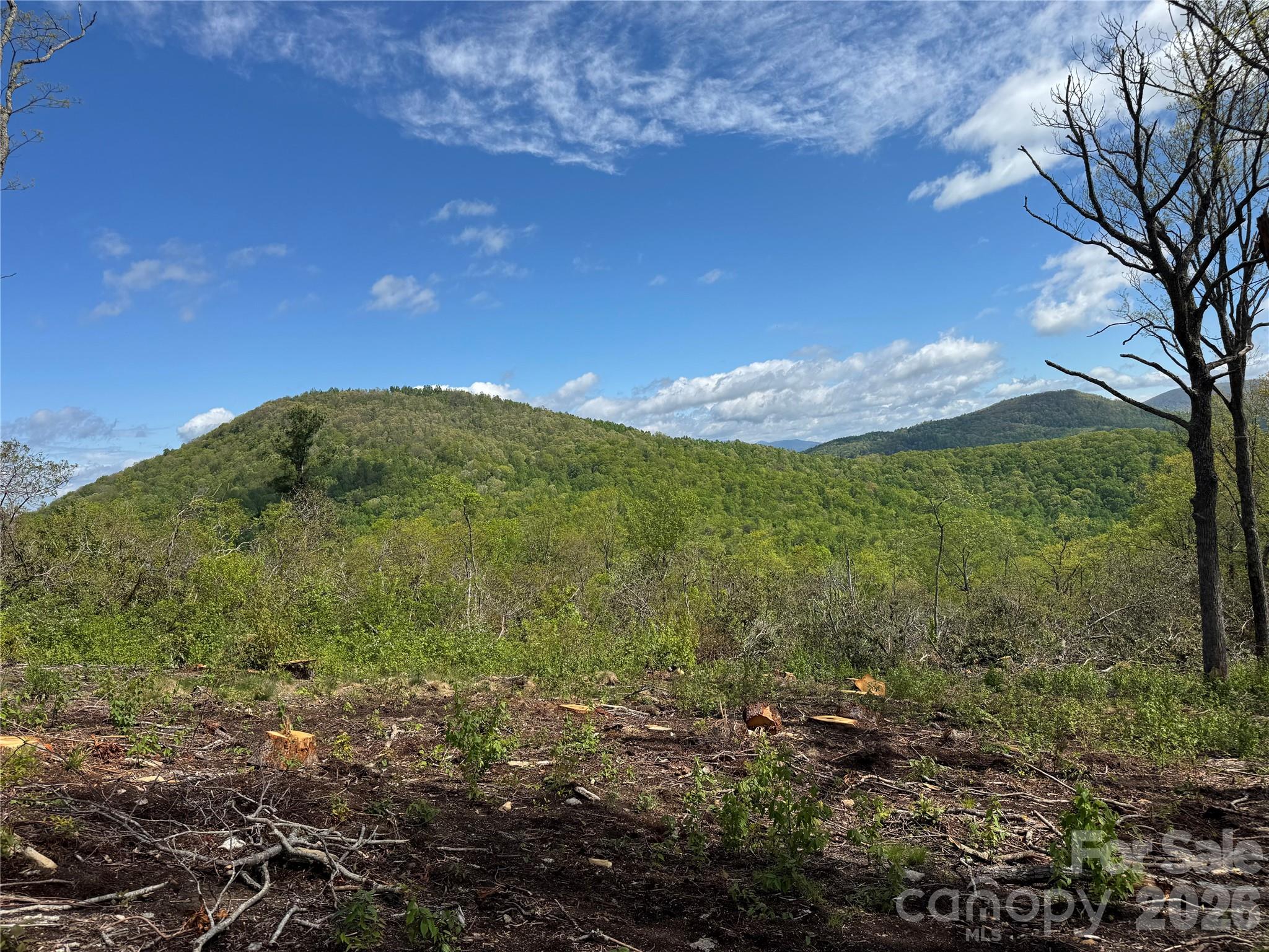 Tbd E Garden Trail Hendersonville NC 28792