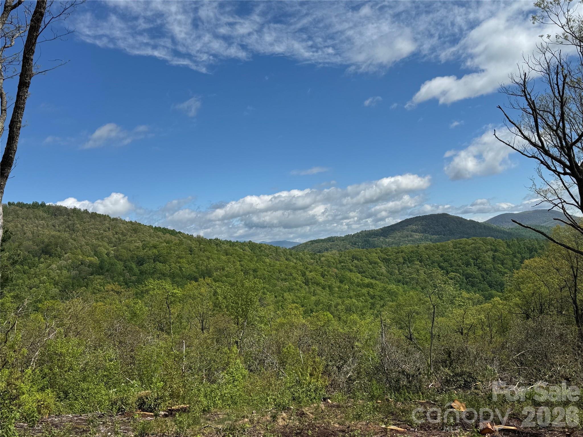 Tbd E Garden Trail Hendersonville NC 28792