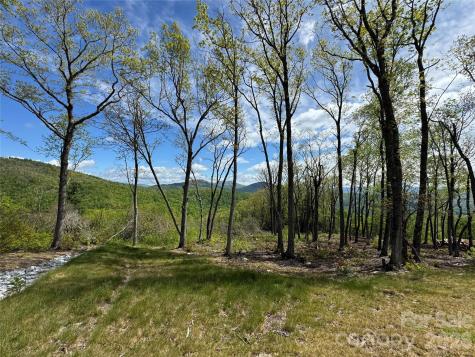 Tbd E Garden Trail Hendersonville NC 28792