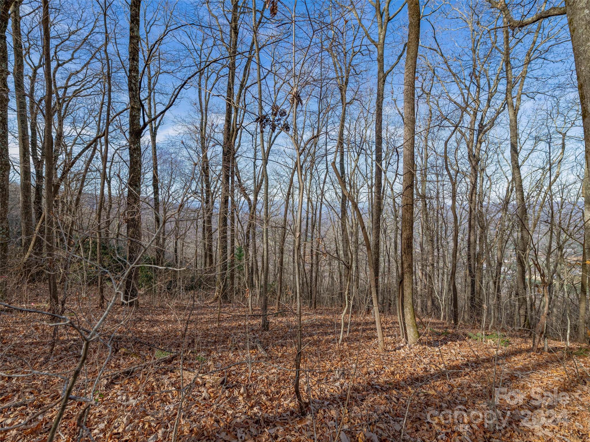99999 Stonecrest Drive Asheville NC 28803