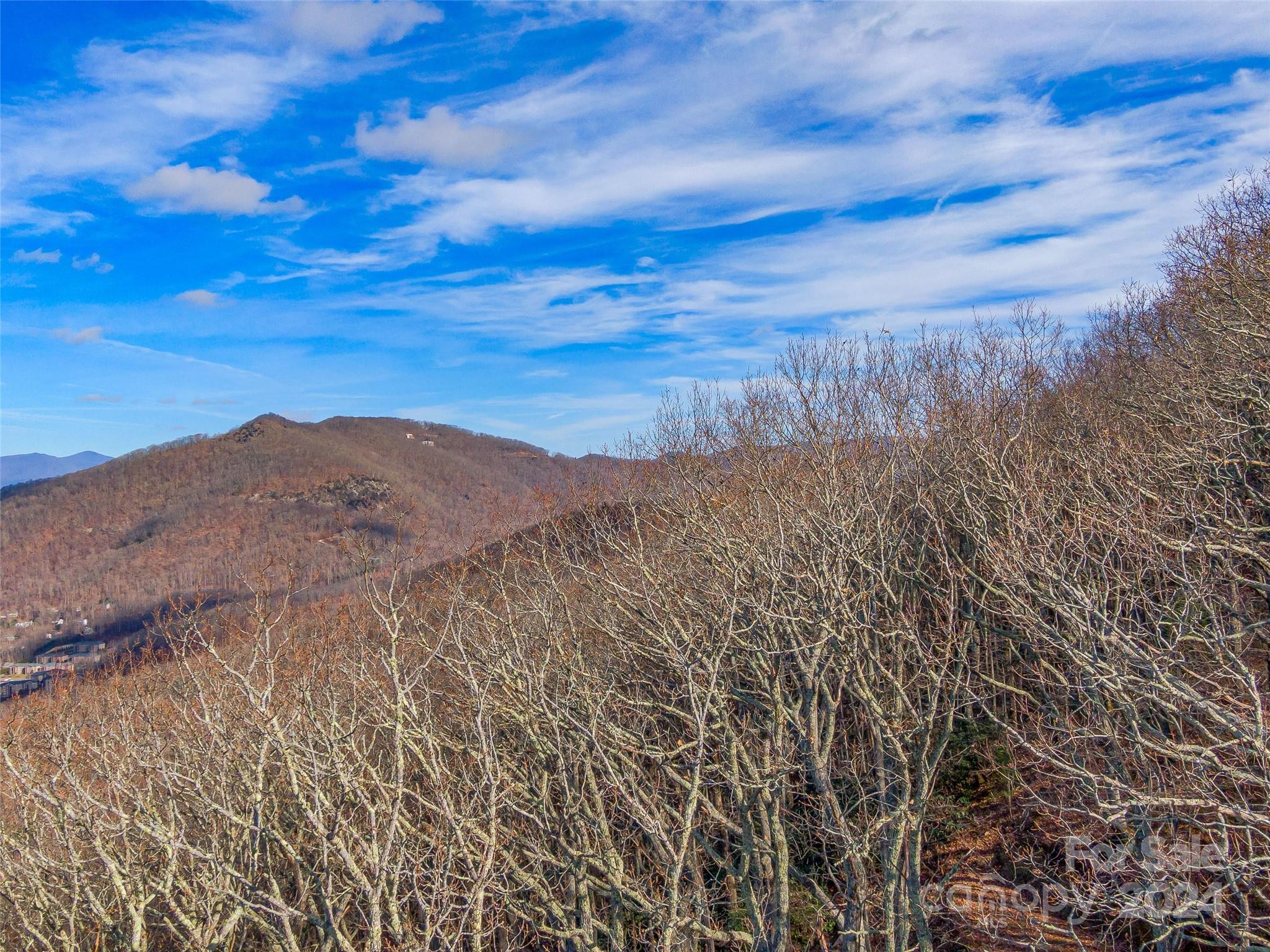 99999 Stonecrest Drive Asheville NC 28803