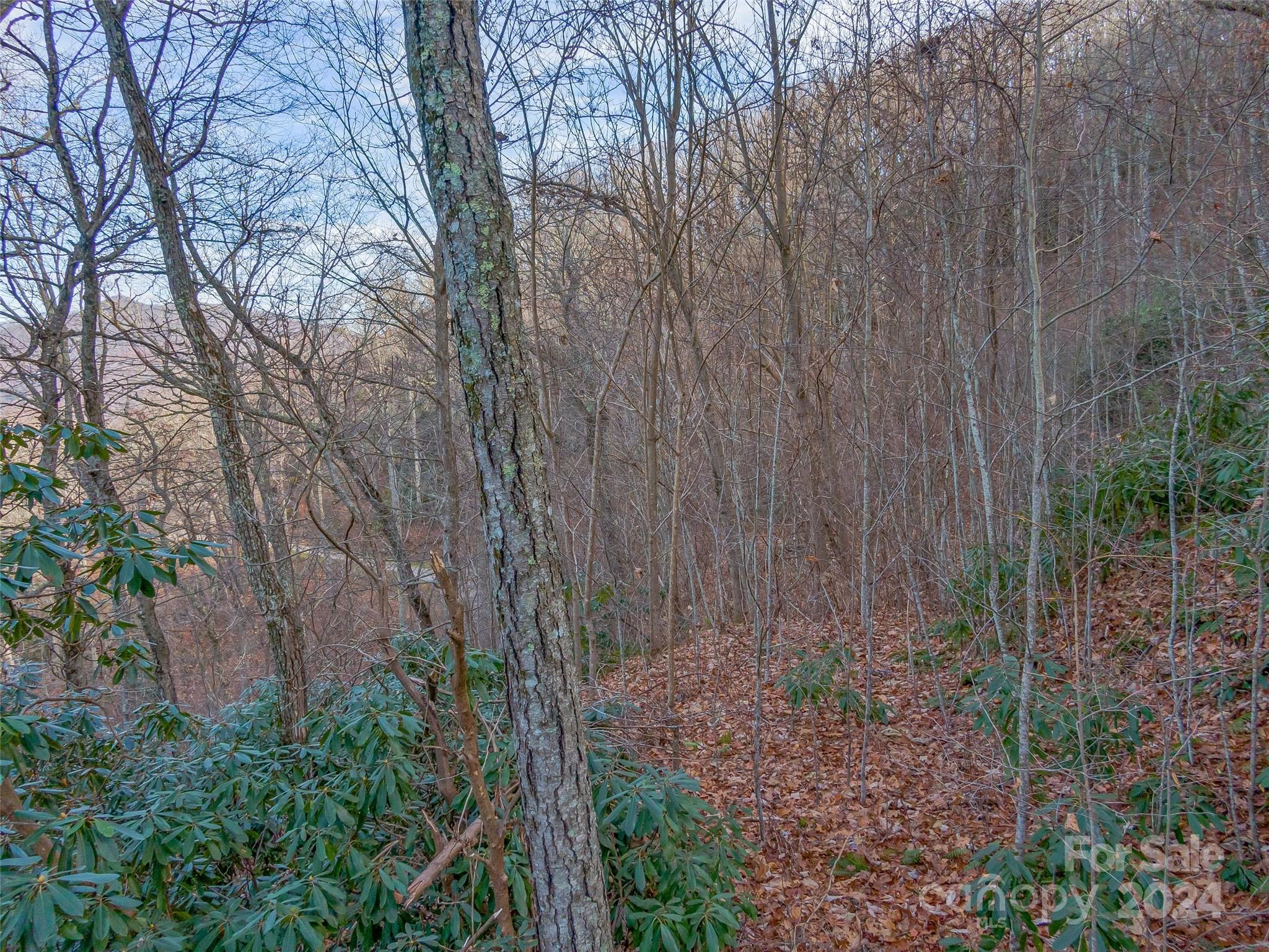 99999 Stonecrest Drive Asheville NC 28803