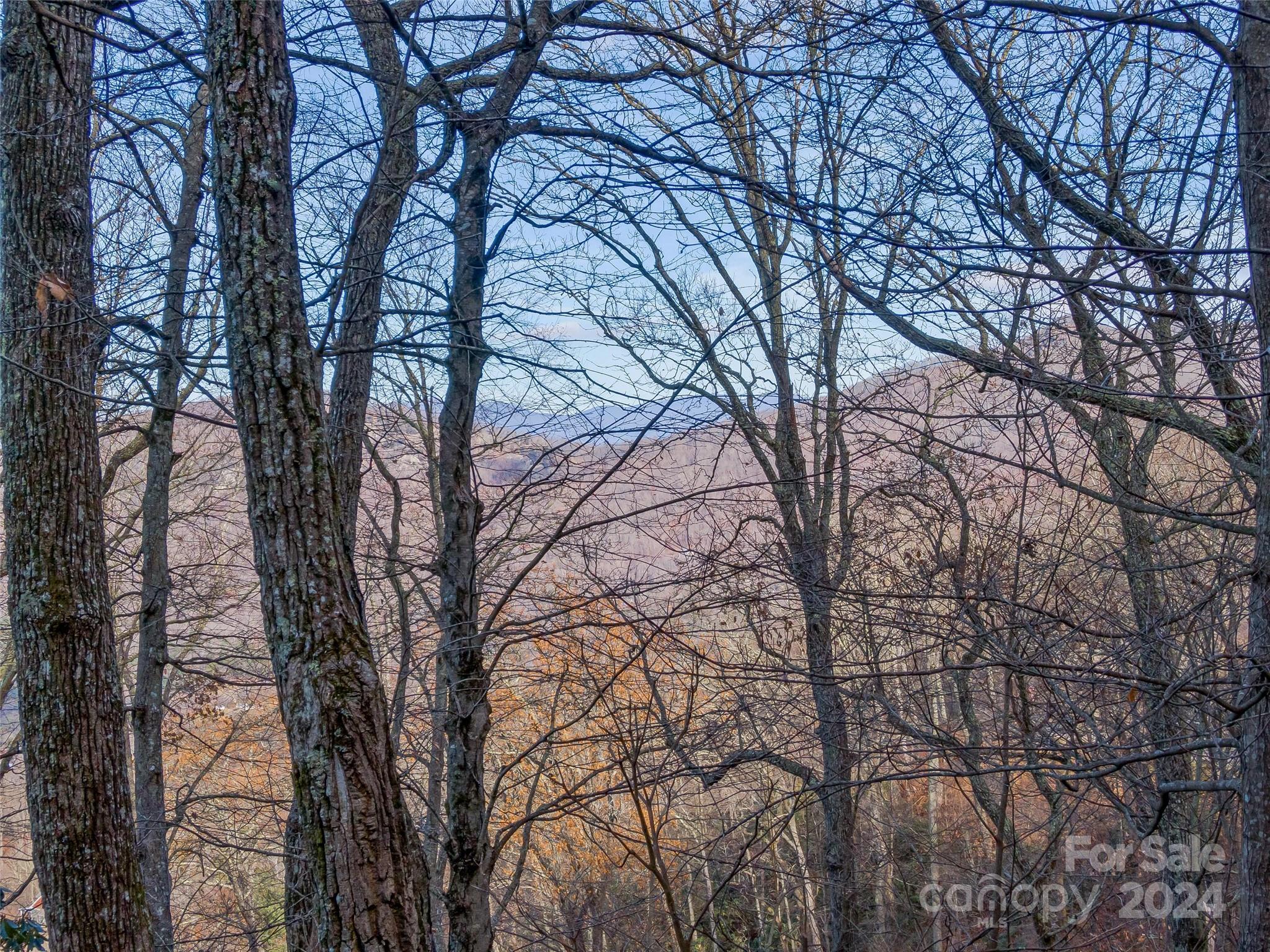 99999 Stonecrest Drive Asheville NC 28803