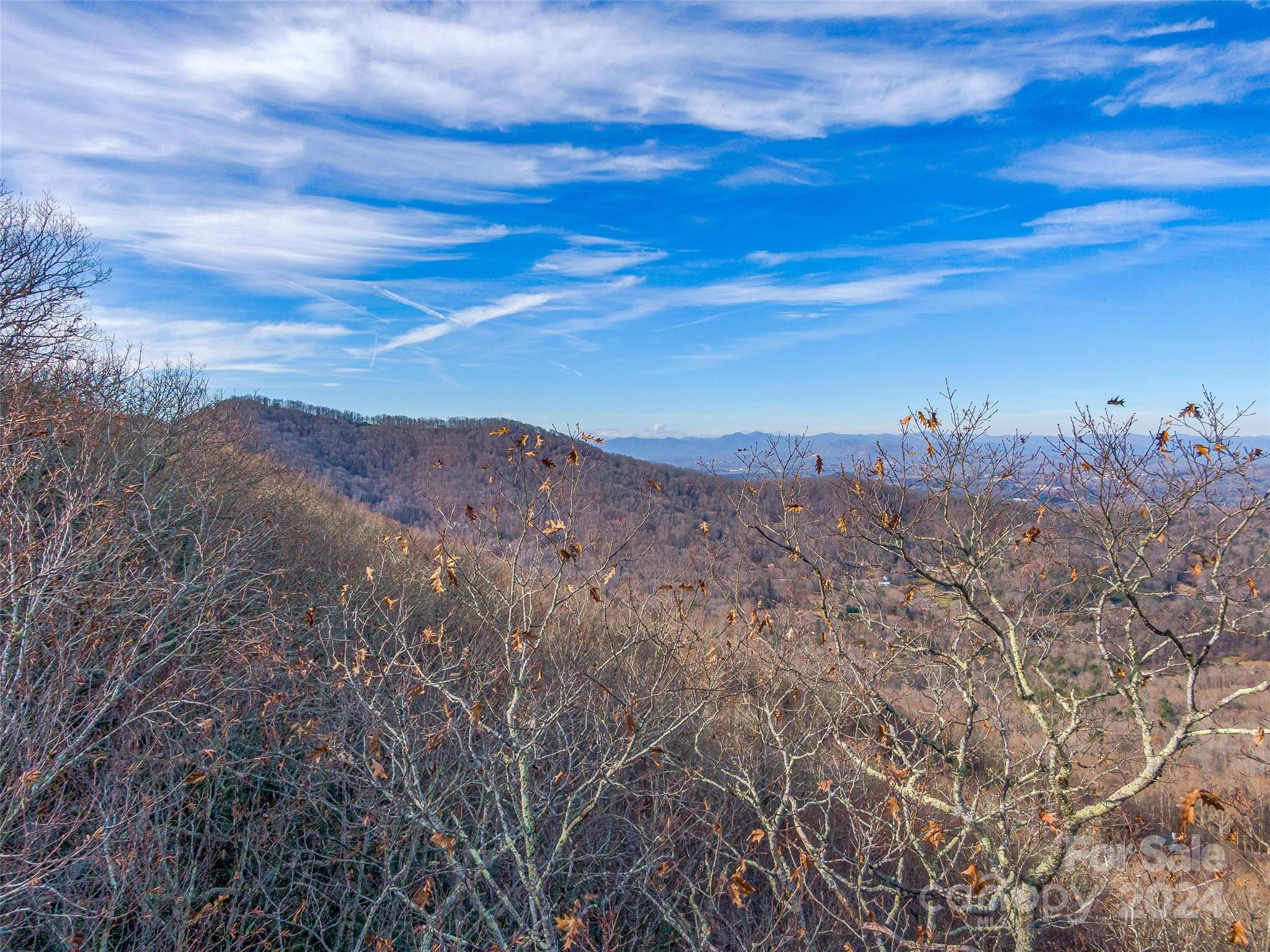 99999 Stonecrest Drive Asheville NC 28803