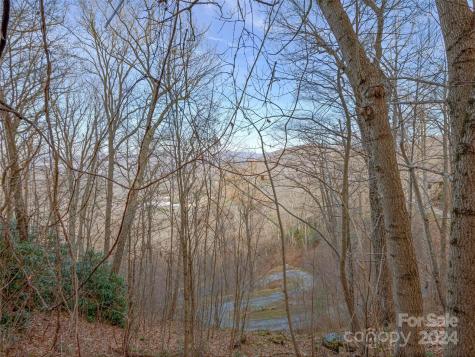 99999 Stonecrest Drive Asheville NC 28803