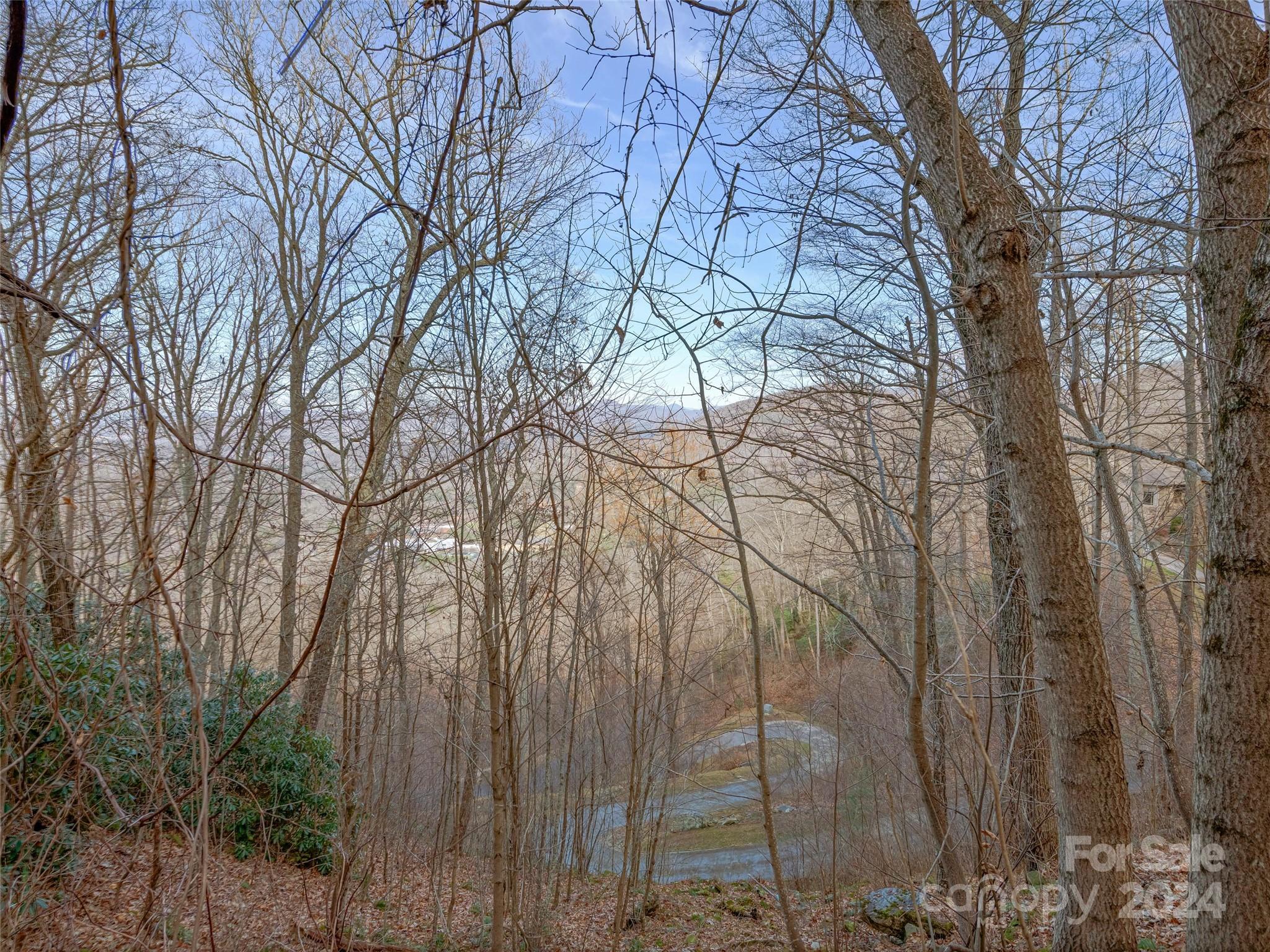 99999 Stonecrest Drive Asheville NC 28803