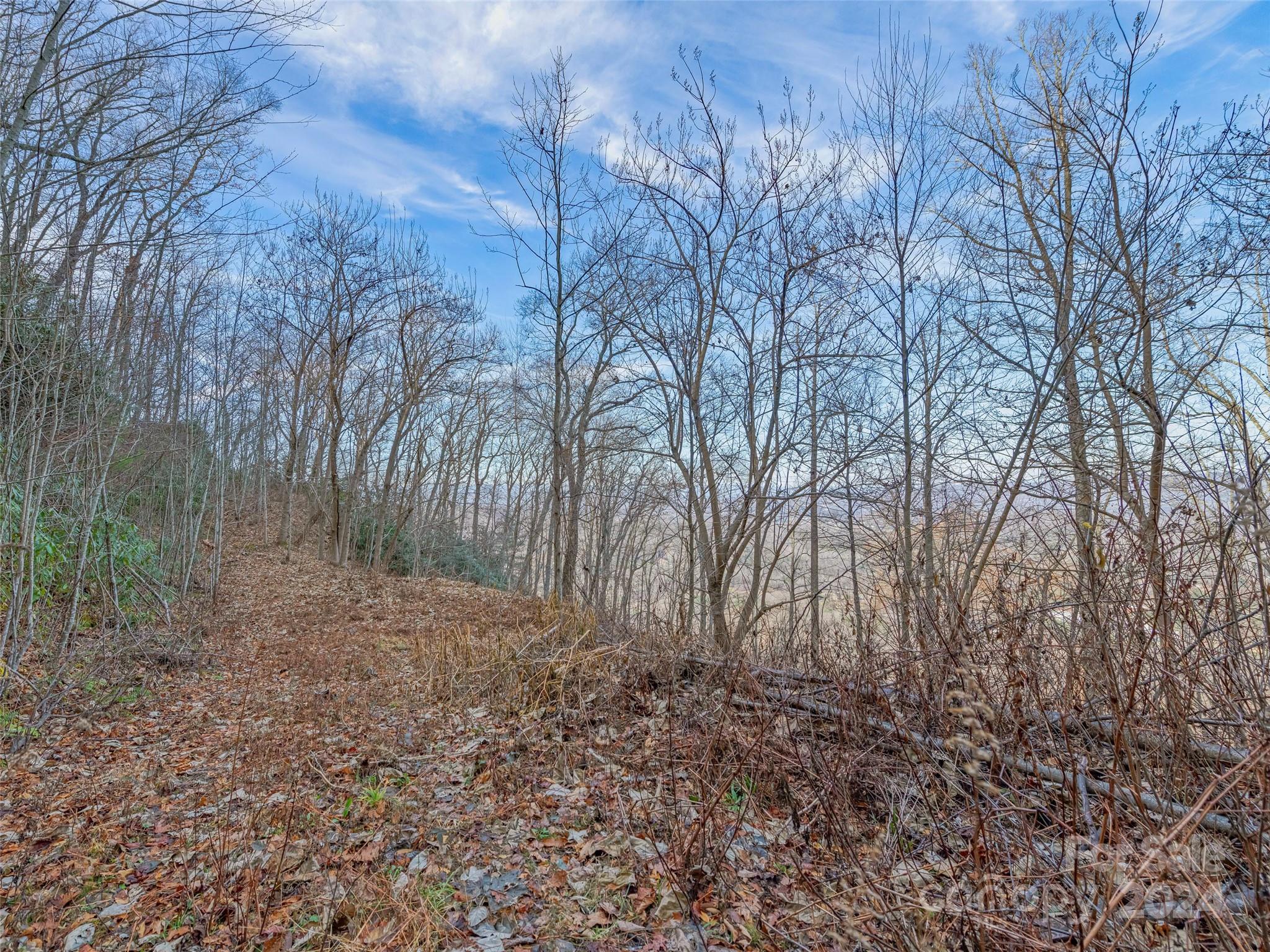 99999 Stonecrest Drive Asheville NC 28803