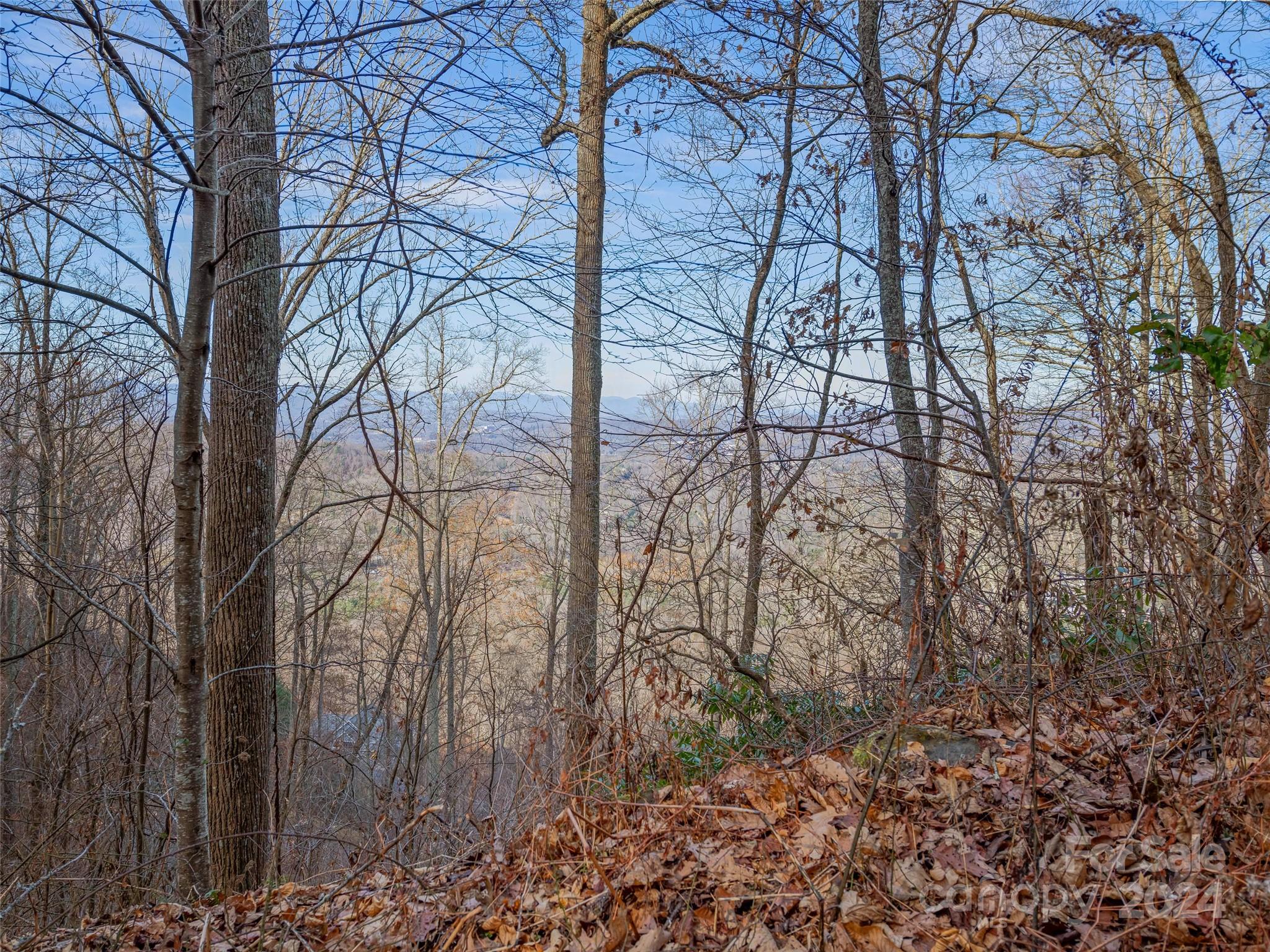 99999 Stonecrest Drive Asheville NC 28803