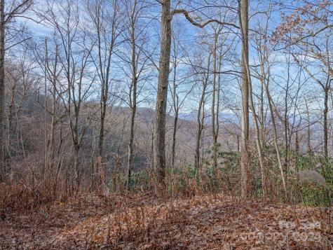 99999 Stonecrest Drive Asheville NC 28803