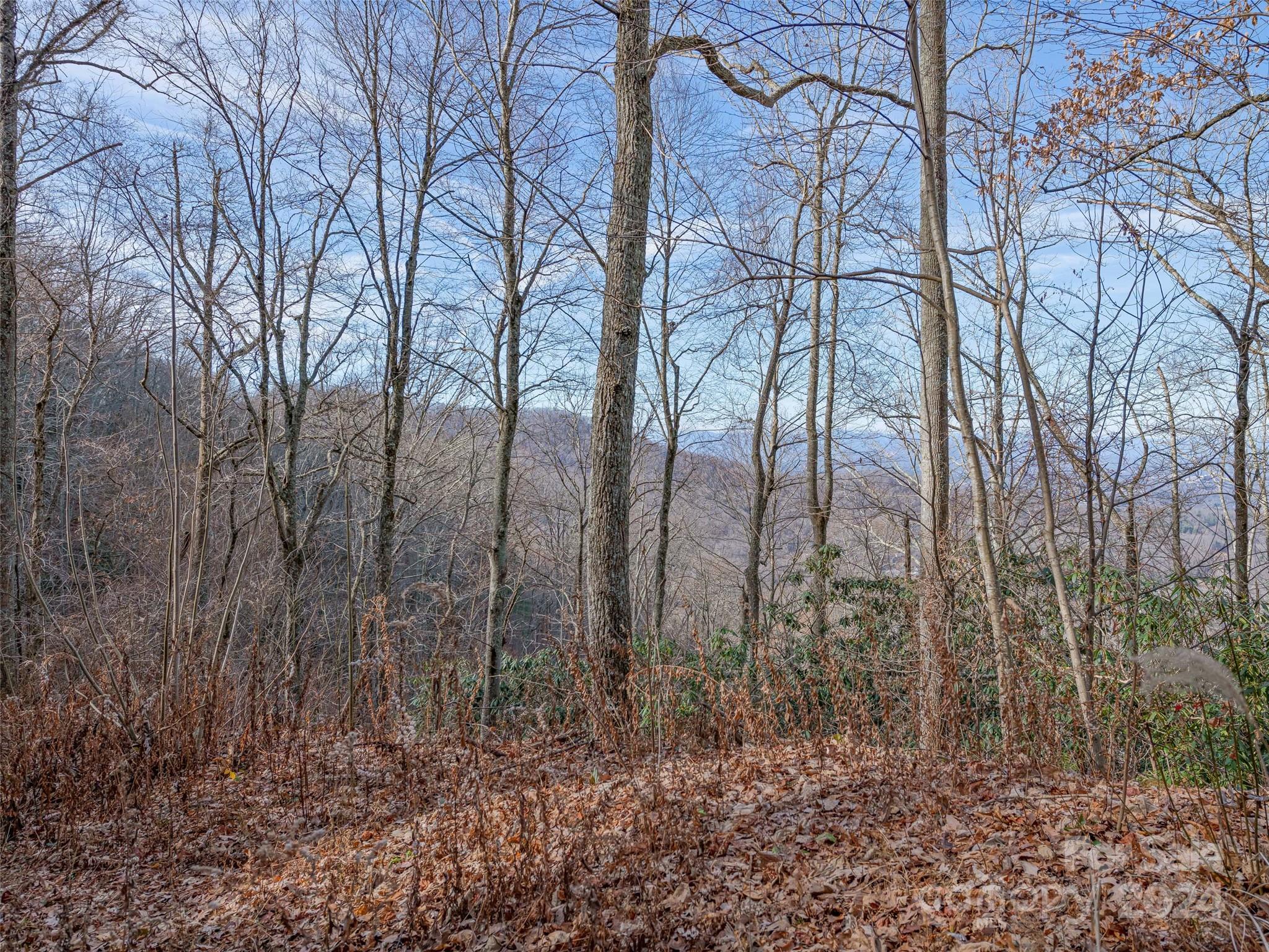 99999 Stonecrest Drive Asheville NC 28803