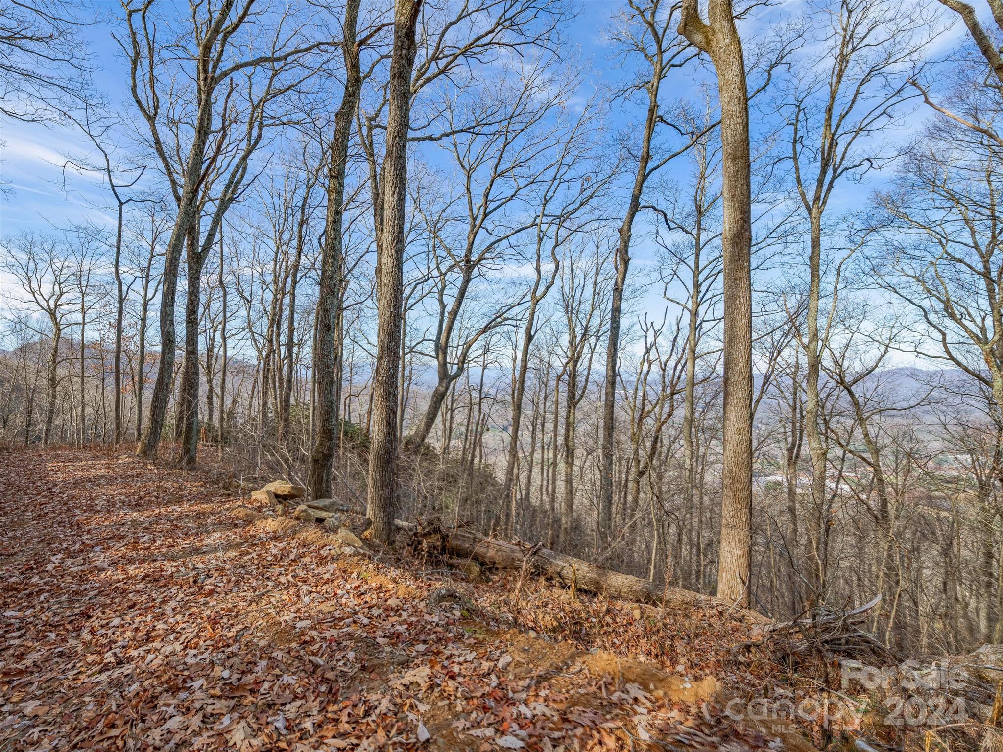 99999 Stonecrest Drive Asheville NC 28803