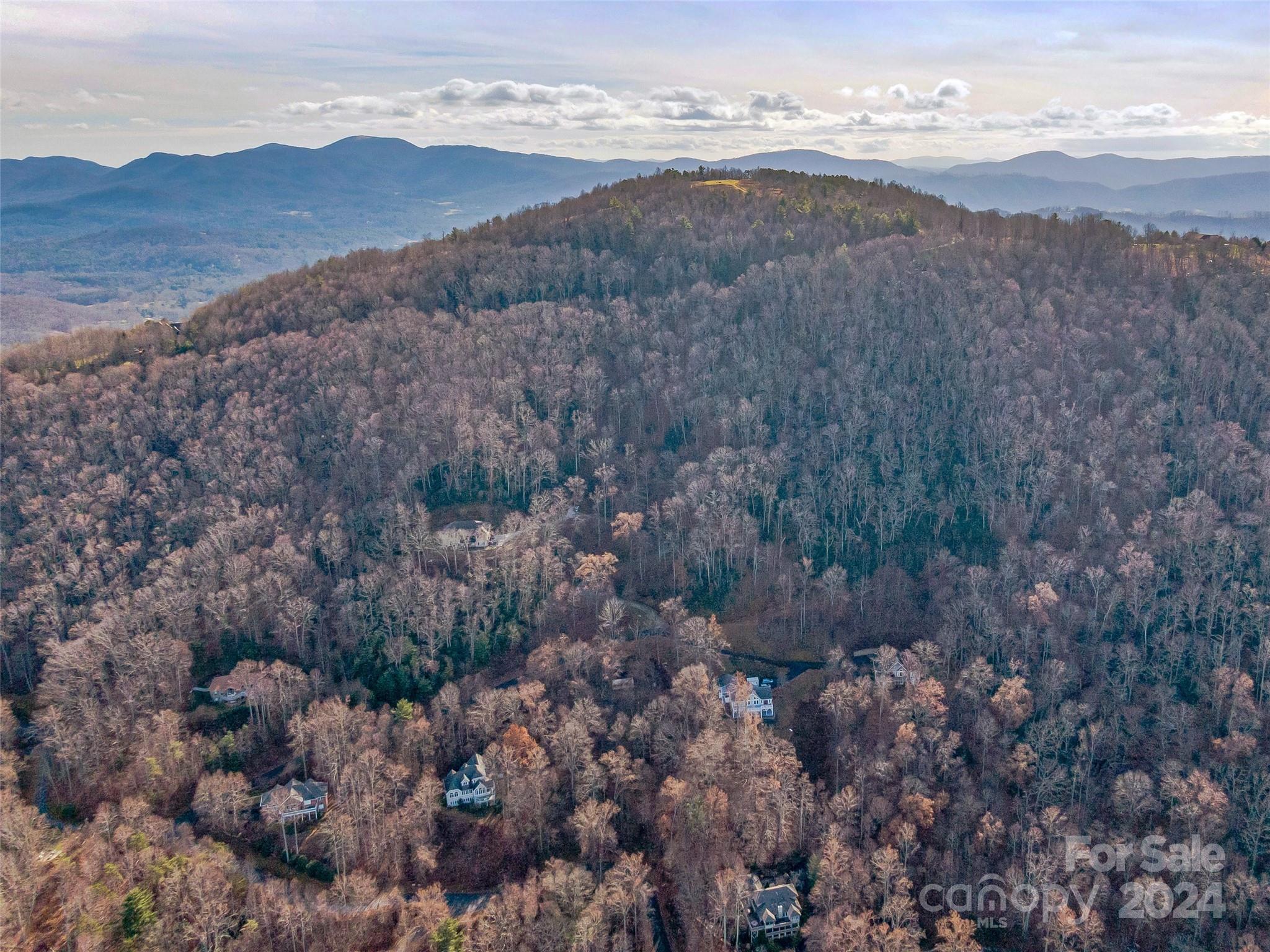 99999 Stonecrest Drive Asheville NC 28803