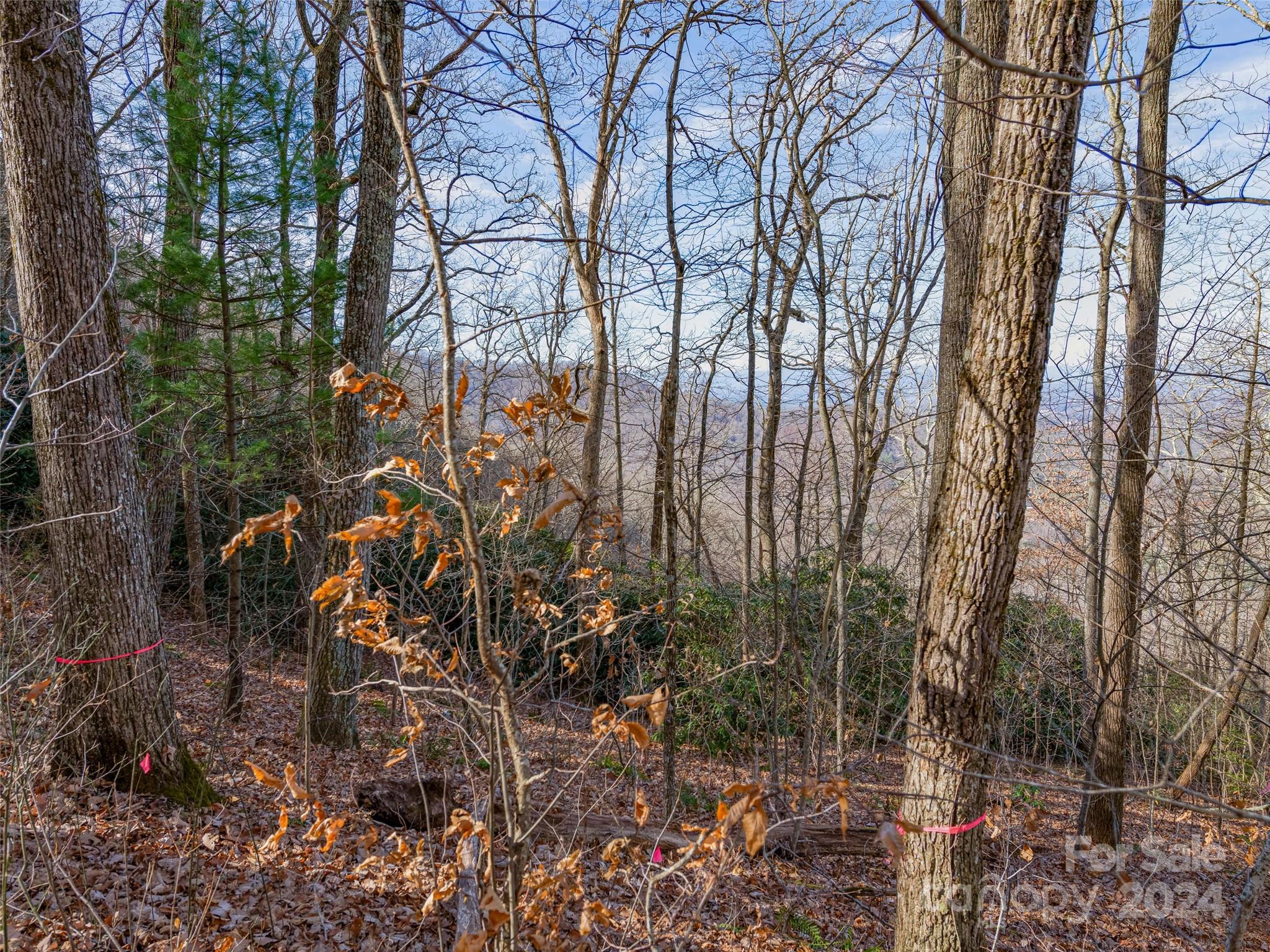 99999 Stonecrest Drive Asheville NC 28803