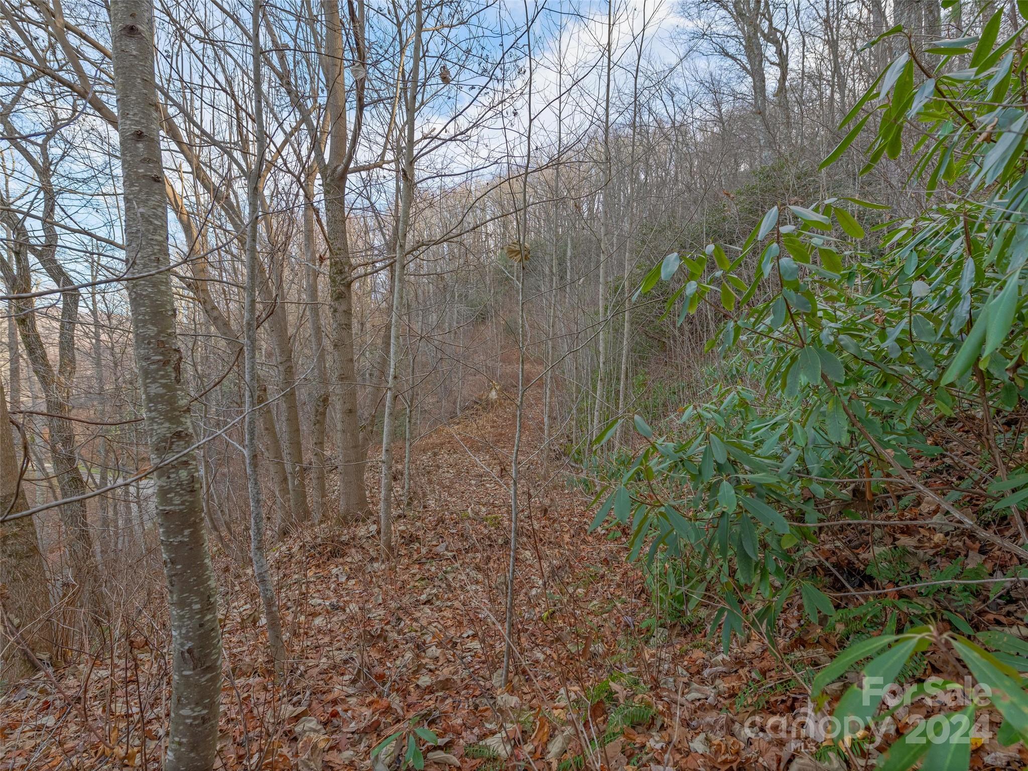 99999 Stonecrest Drive Asheville NC 28803